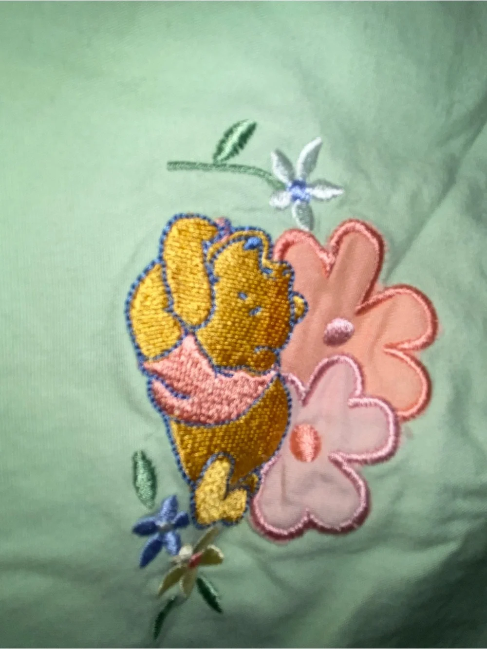 Light Green Embroidered Women’s Shorts